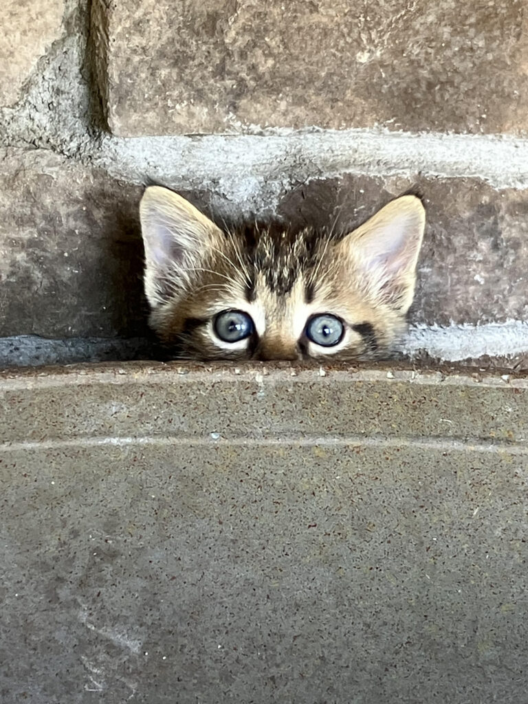 Ganador del concurso fotográfico